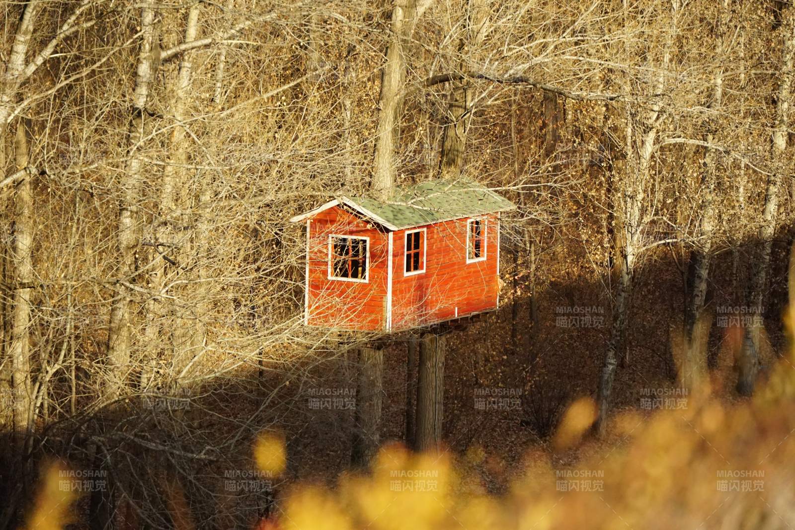 林间红屋图片