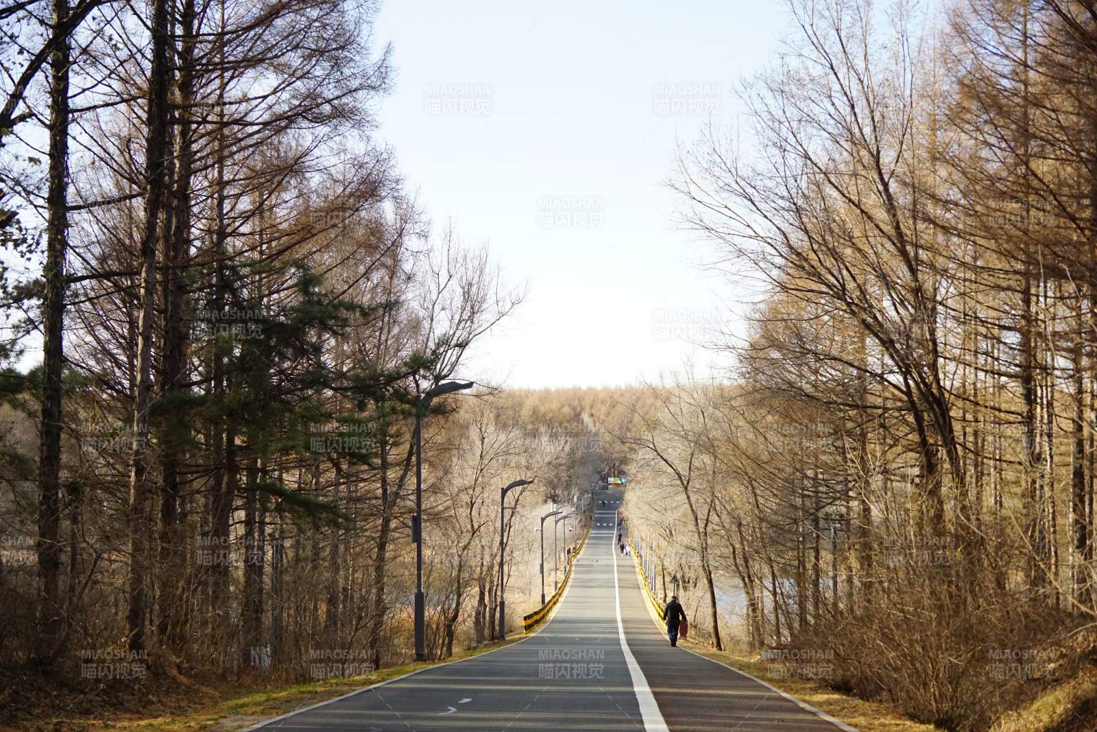 林间小径行者远图片