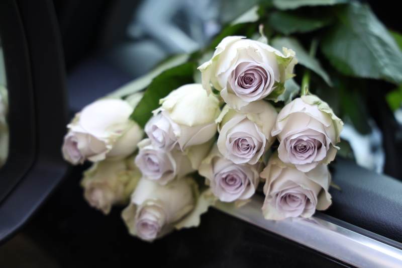 白玫瑰花束图片