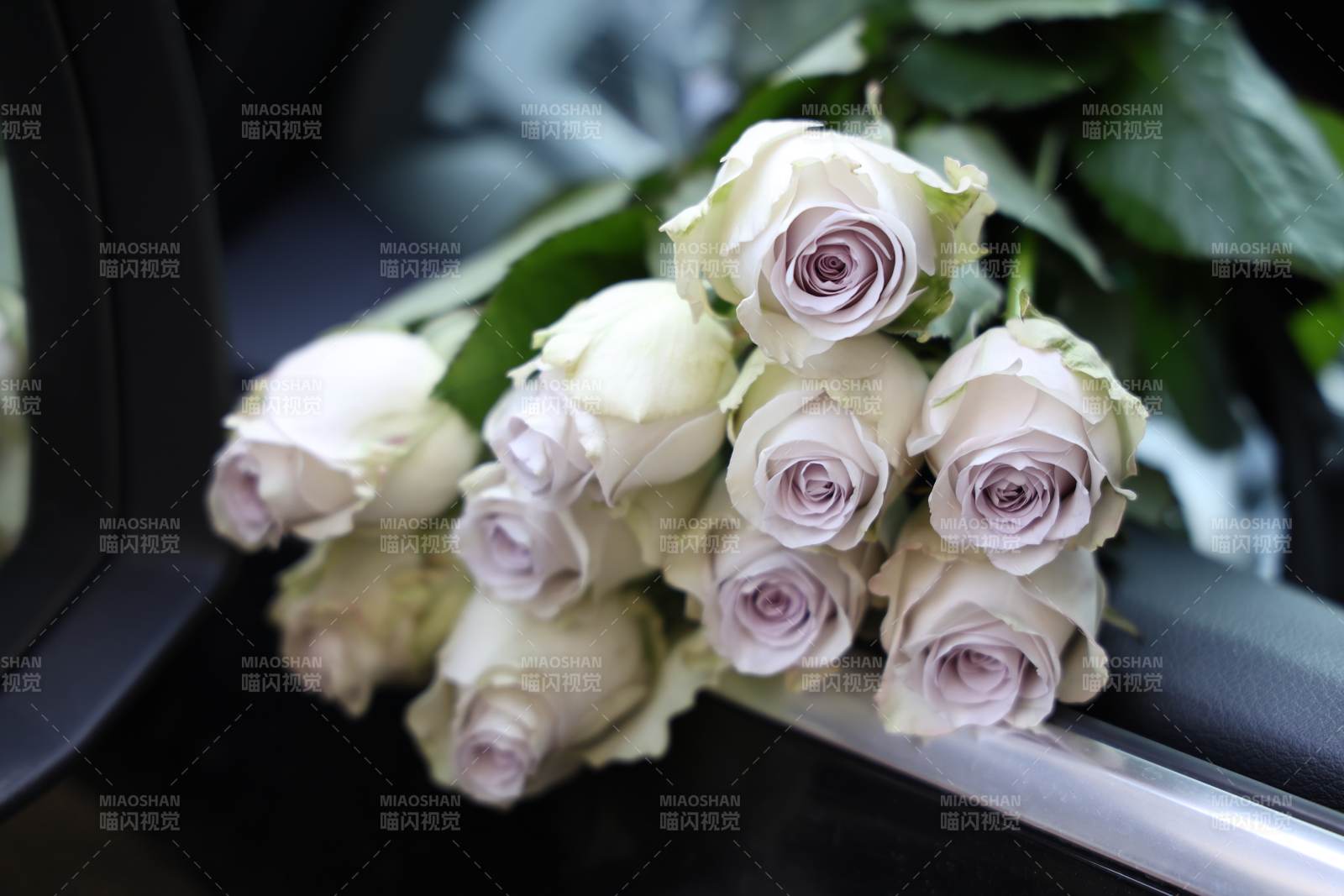 白玫瑰花束图片