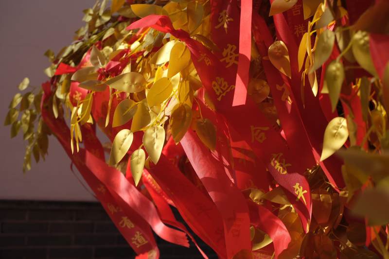 金叶红绸迎新春图片