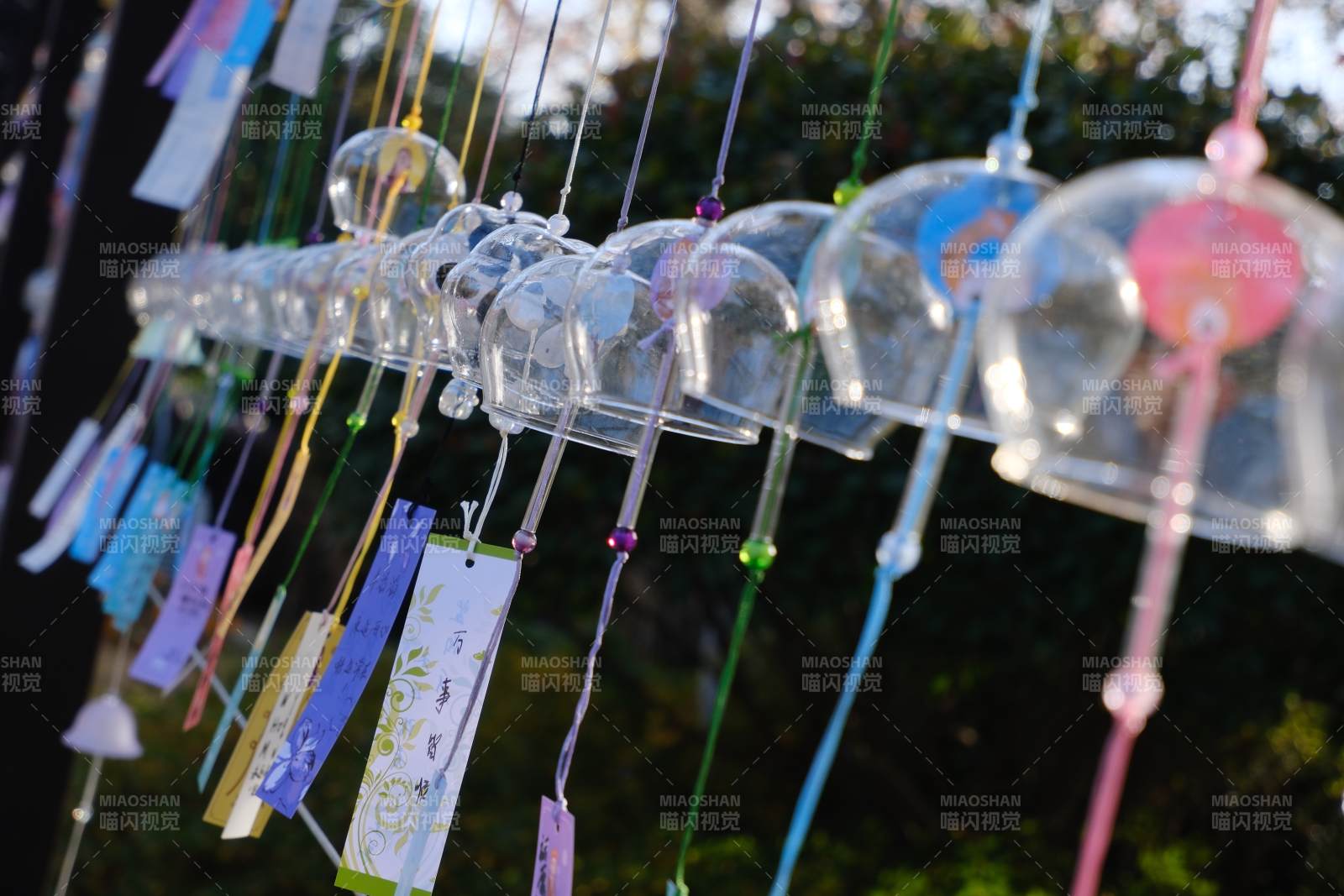 风铃祈愿飘摇图片