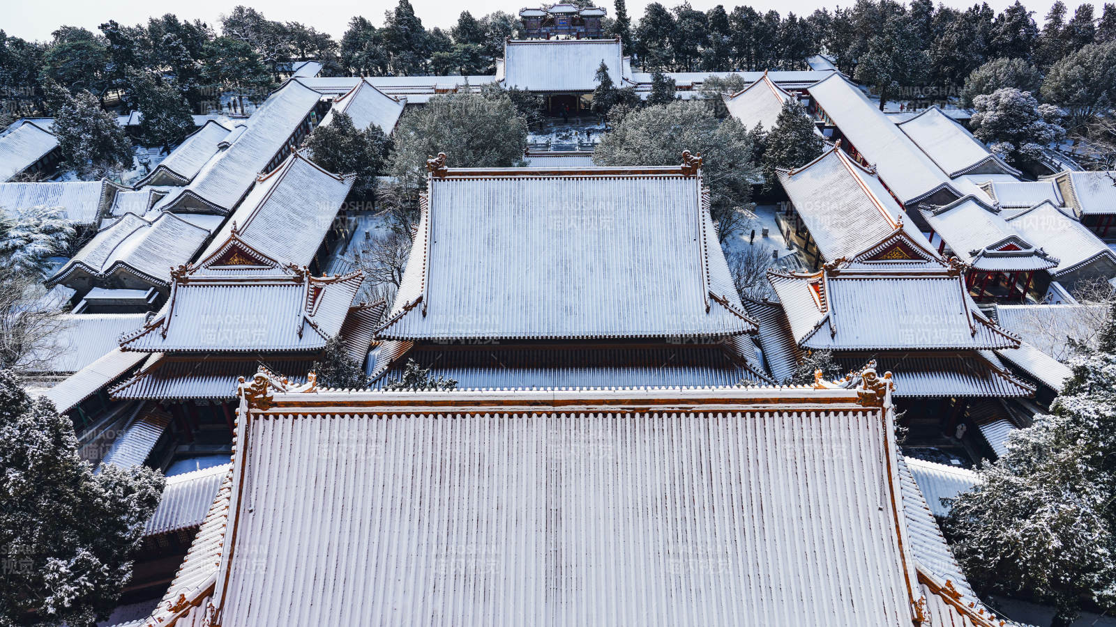 颐和园佛香阁飞檐雪景映林间图片