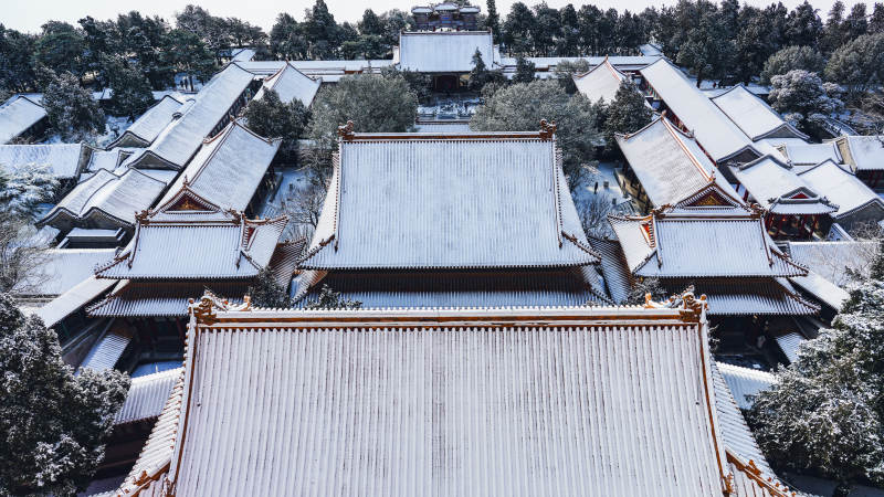 颐和园佛香阁飞檐雪景映林间图片
