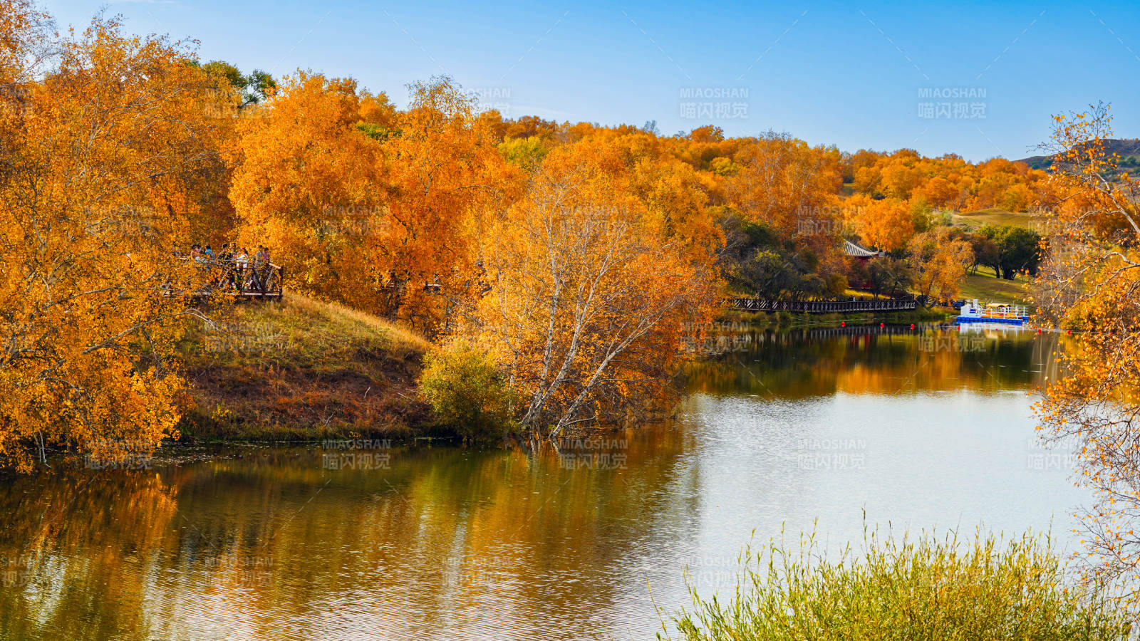 乌兰布统公主湖金叶映水图片
