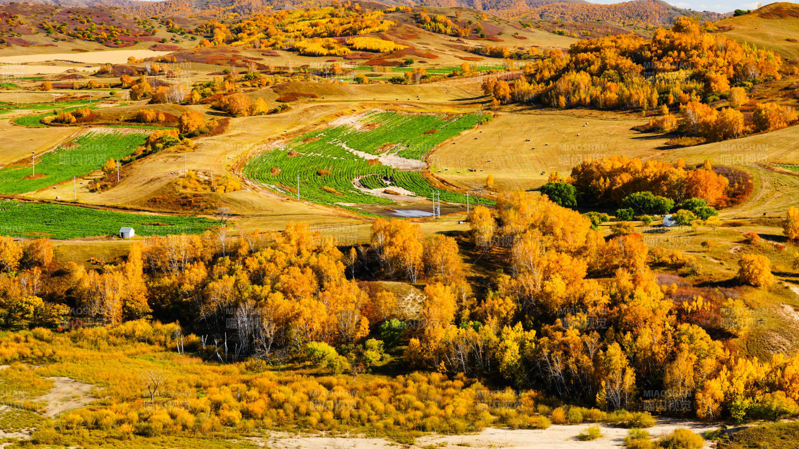 乌兰布统秋日田园风光图片