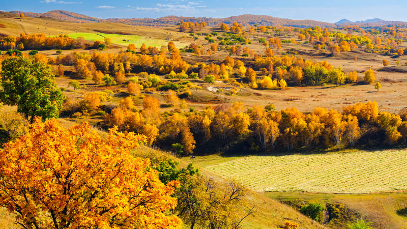 乌兰布统秋日田野风光图片