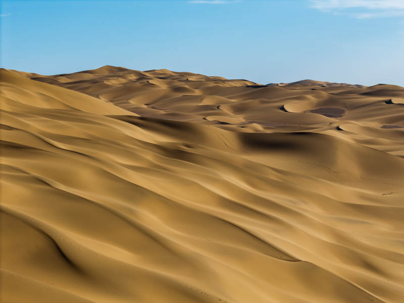 金色沙丘连绵起伏图片