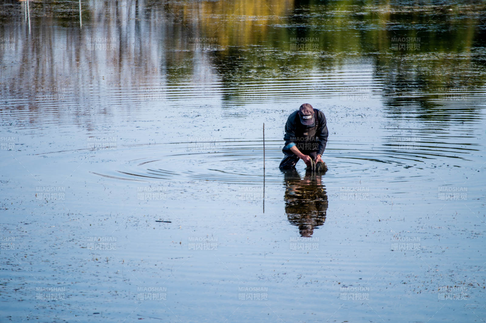 湖中垂钓人影图片