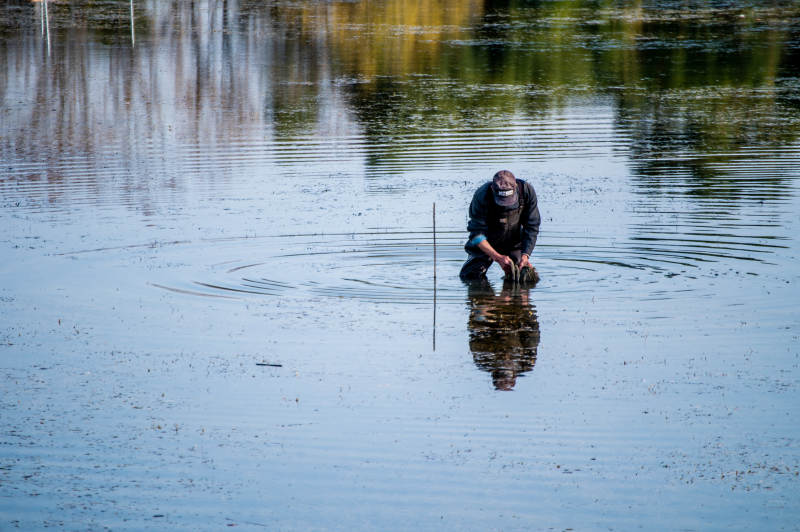 湖中垂钓人影图片