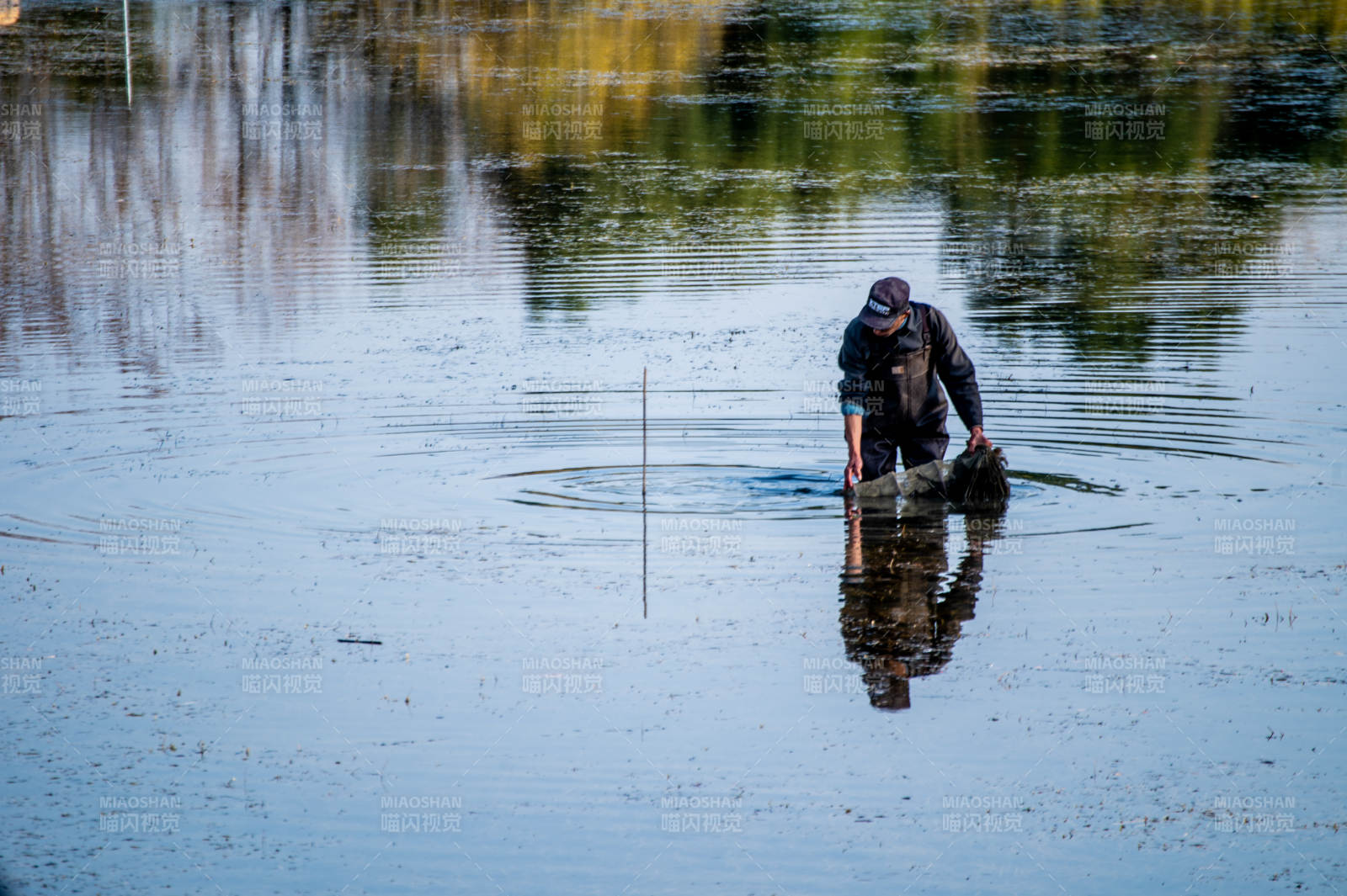 湖中捞鱼人图片