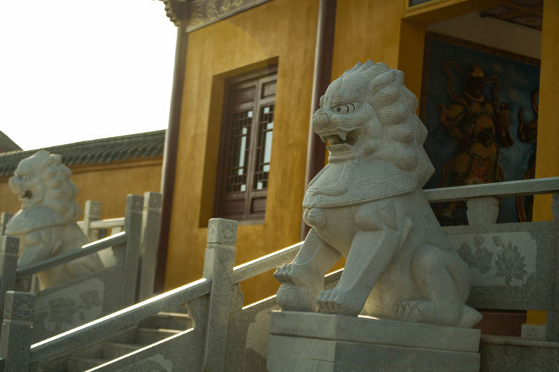 石狮守庙门—青龙山公园寺庙图片