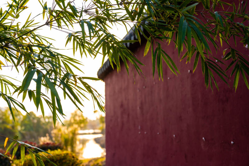 竹影红墙映斜阳-大冶三清观图片