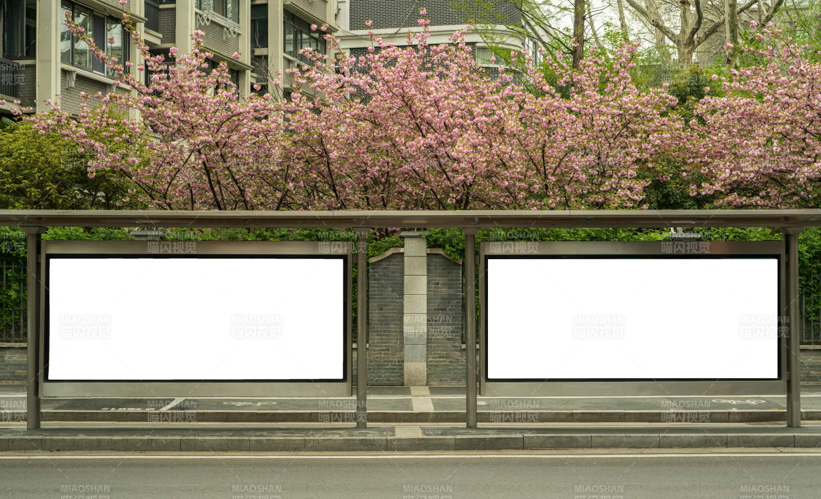 樱花下的公交站图片