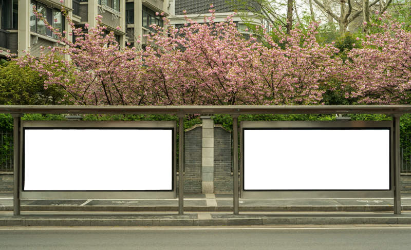 樱花下的公交站图片