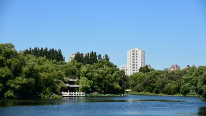 湖畔绿树映高楼(城市公园)图片