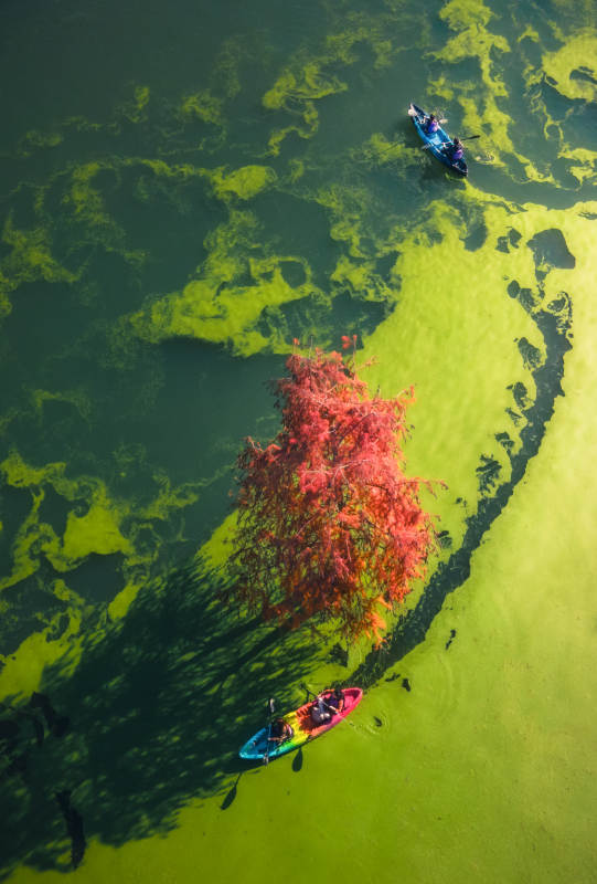 临安青山湖：秋色湖光 独木舟影图片