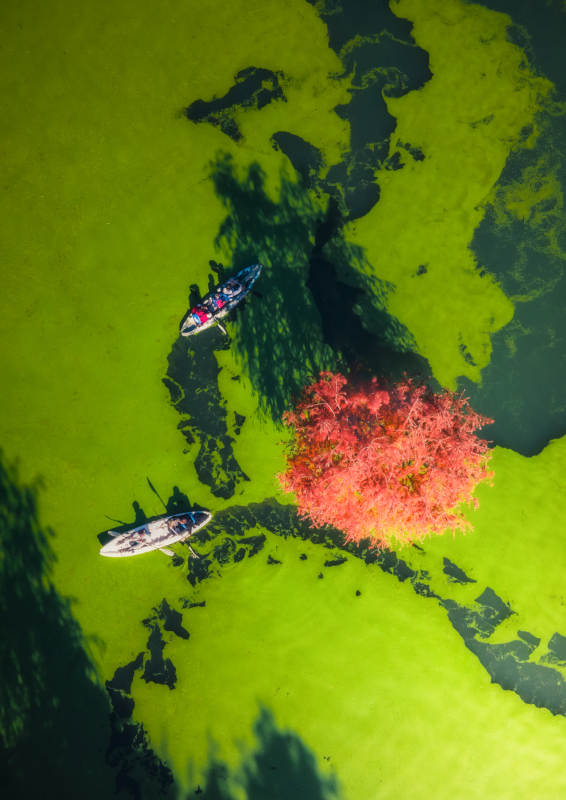 秋水泛舟 红叶映绿图片