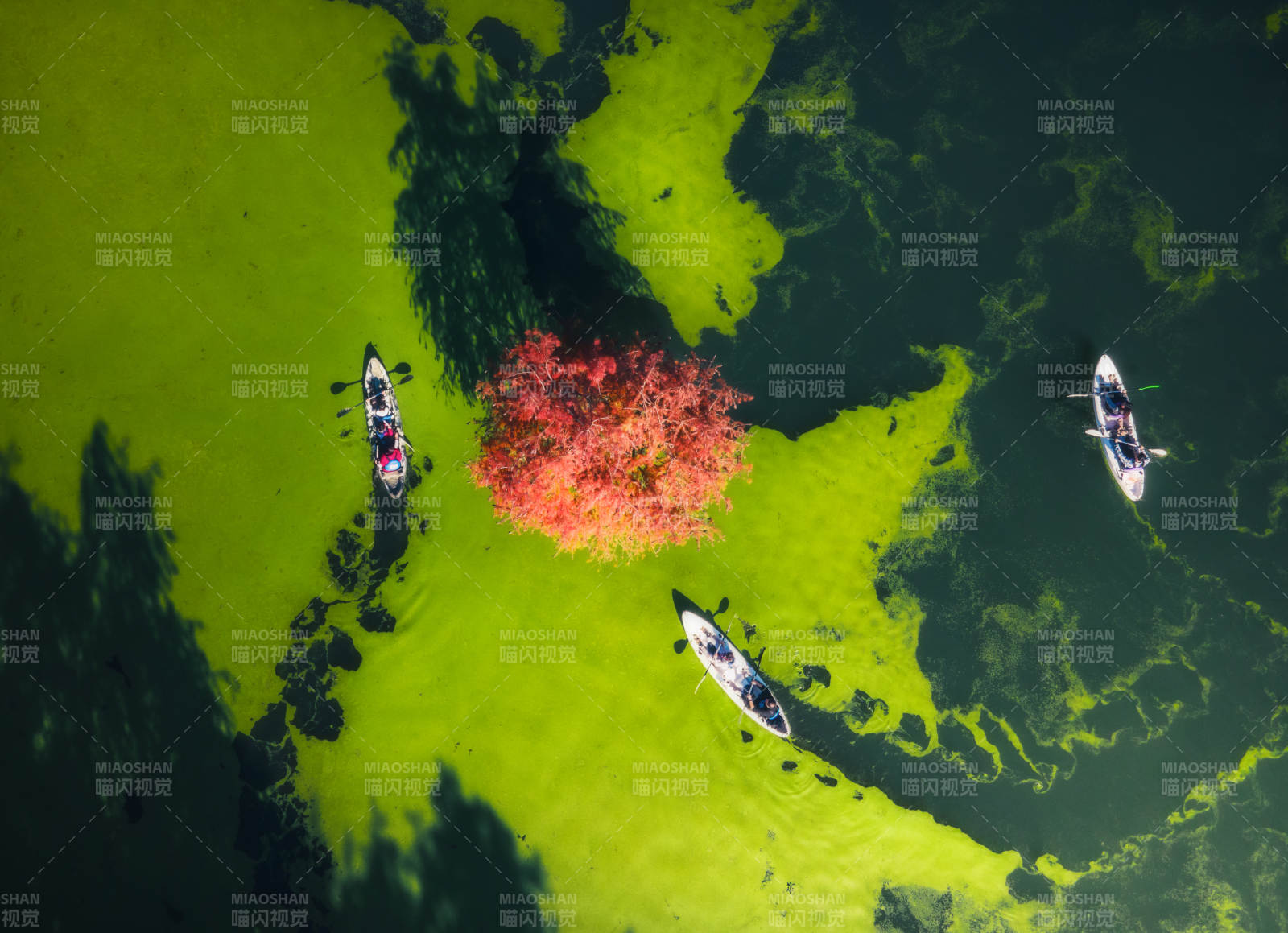 湖上秋色行舟图片