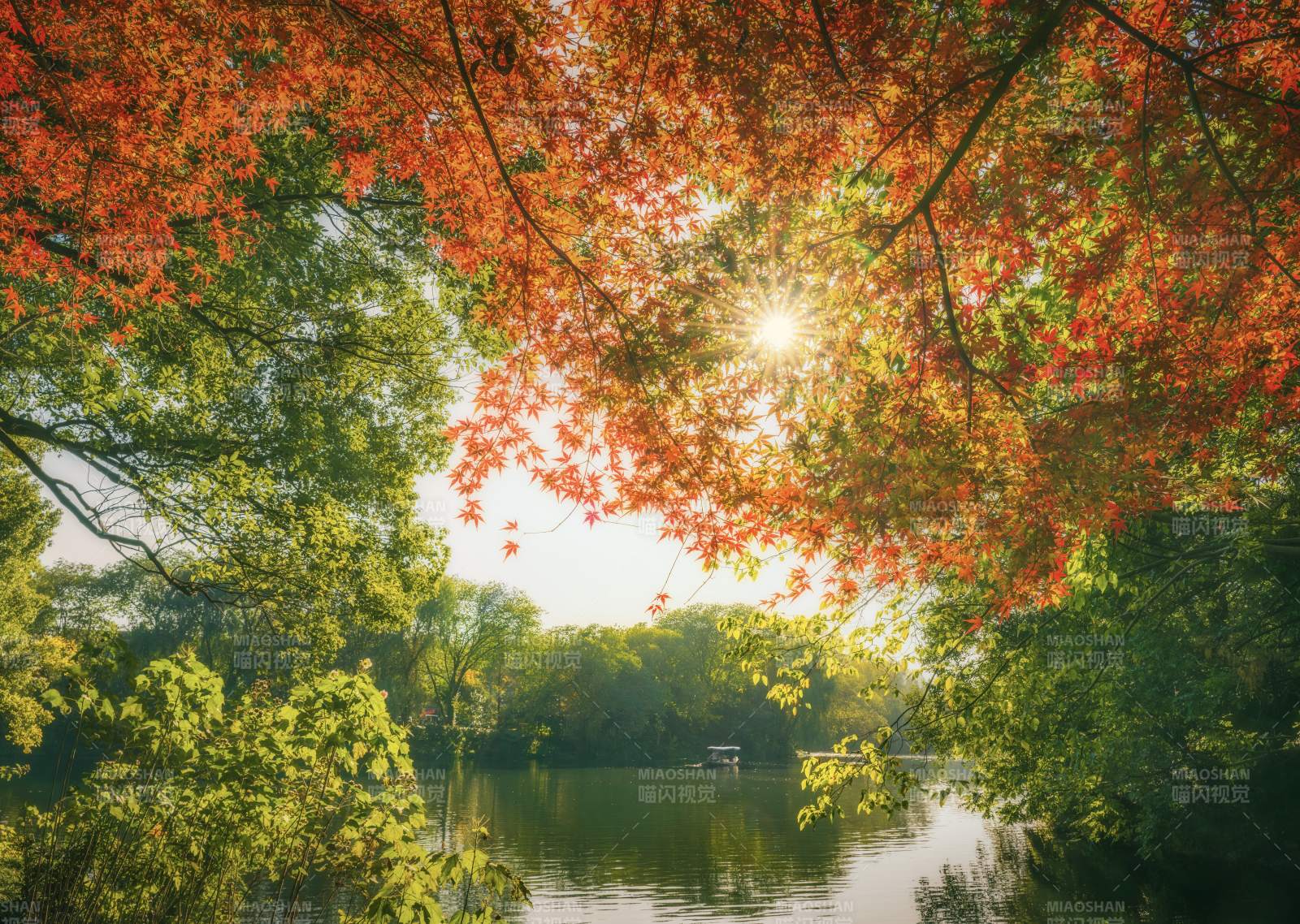 秋日湖光树影图片