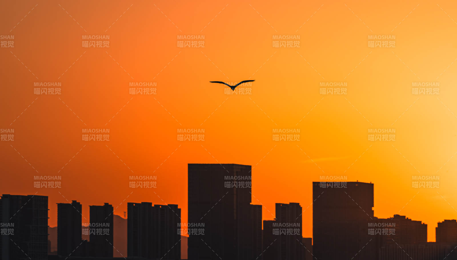 临安青山湖：暮色中的城市剪影图片