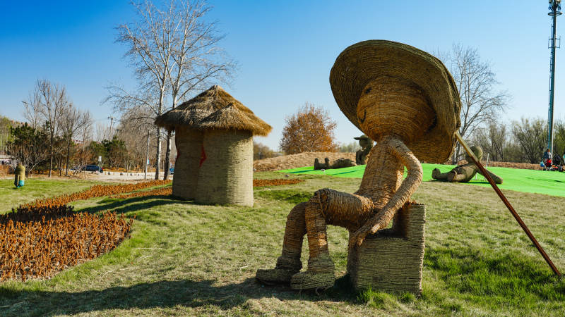 稻香花海稻草人静坐田园图片