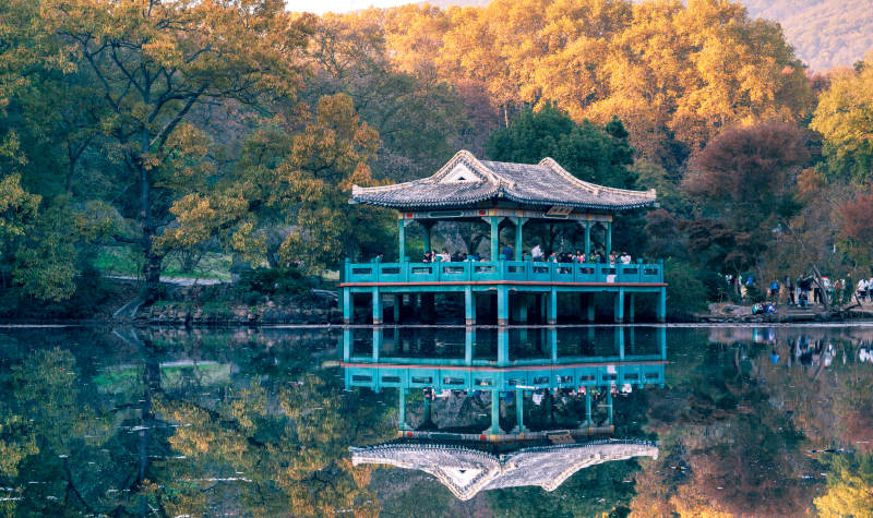 钟山风景区湖心亭秋色图片