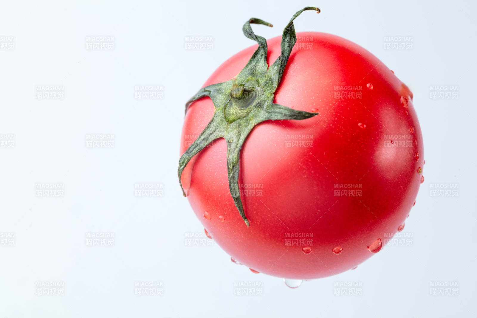 鲜红番茄水珠欲滴图片