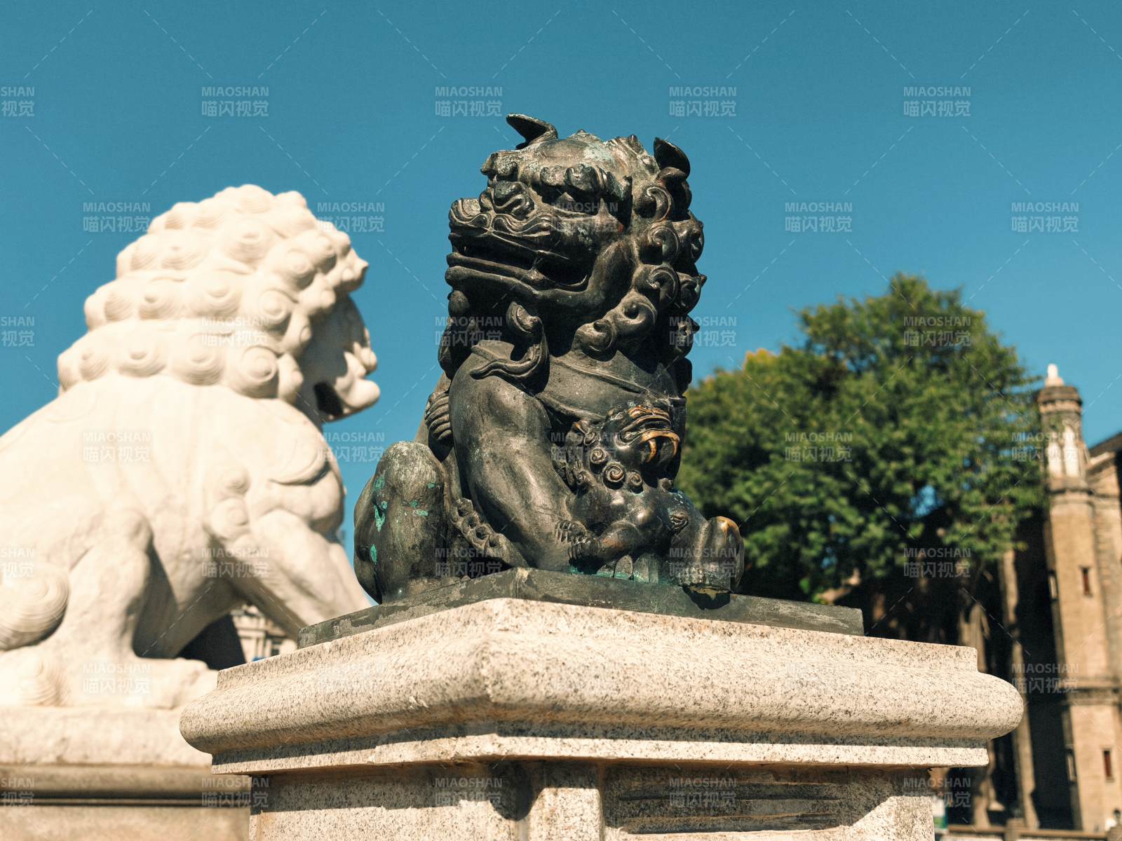 石狮守护古建筑图片