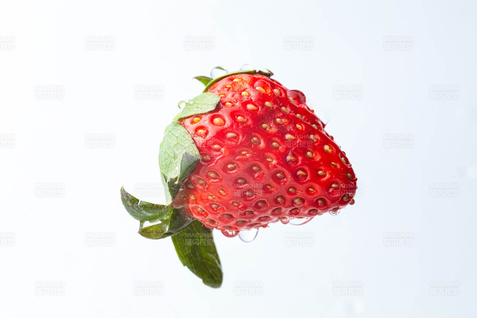 水珠草莓特写图片
