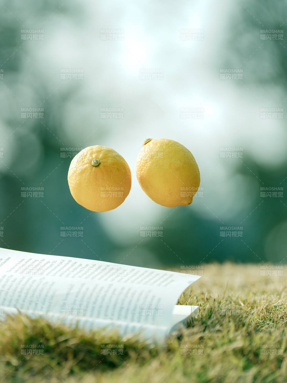 柠檬跃动书页间图片