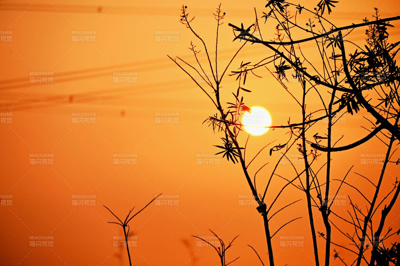 朝阳剪影图片