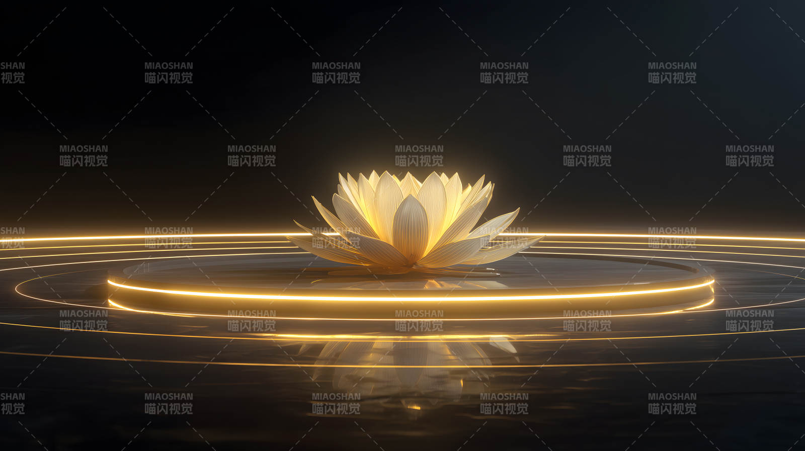 莲花光芒静谧之美图片