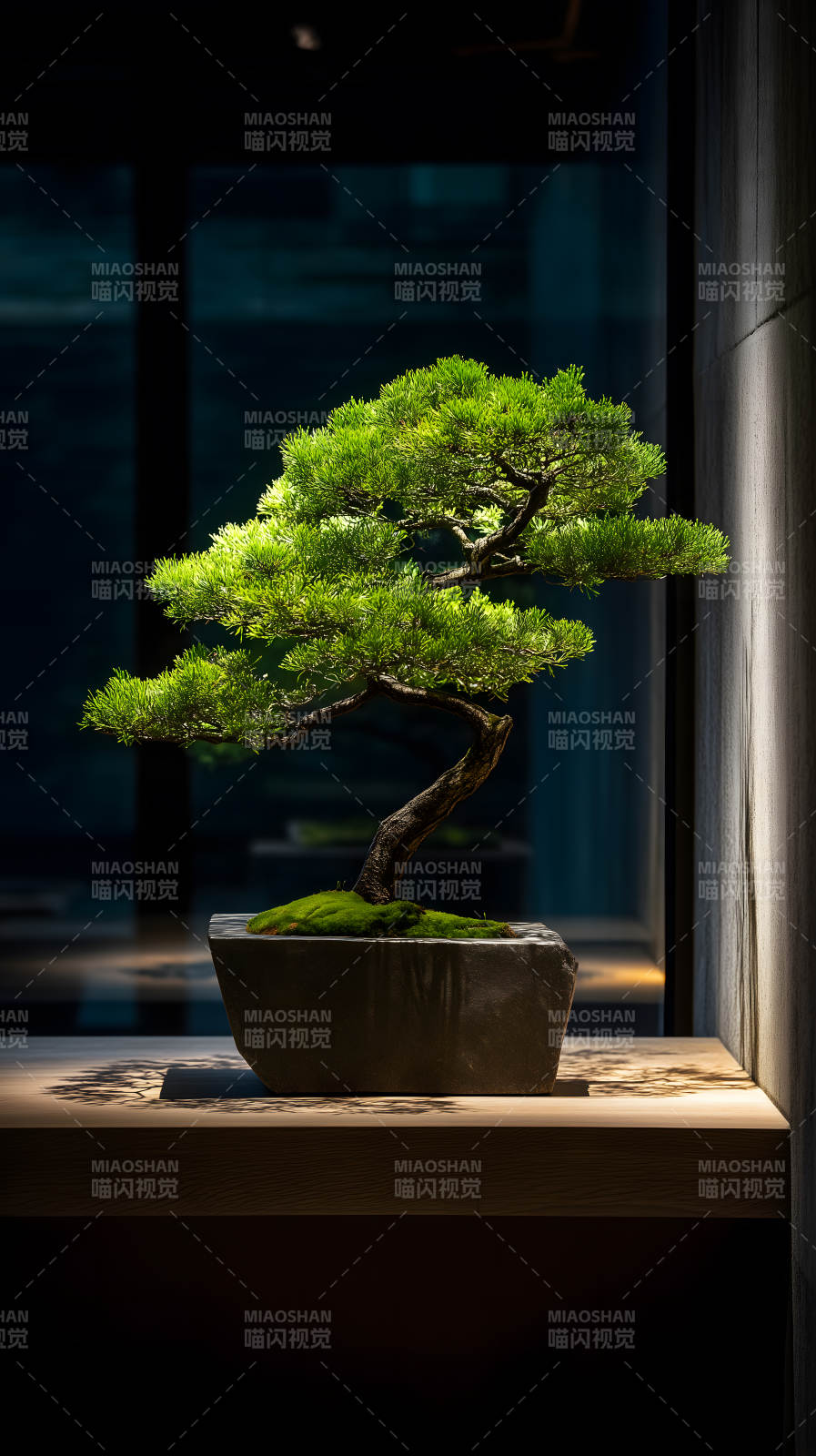 盆景艺术宁静氛围图片