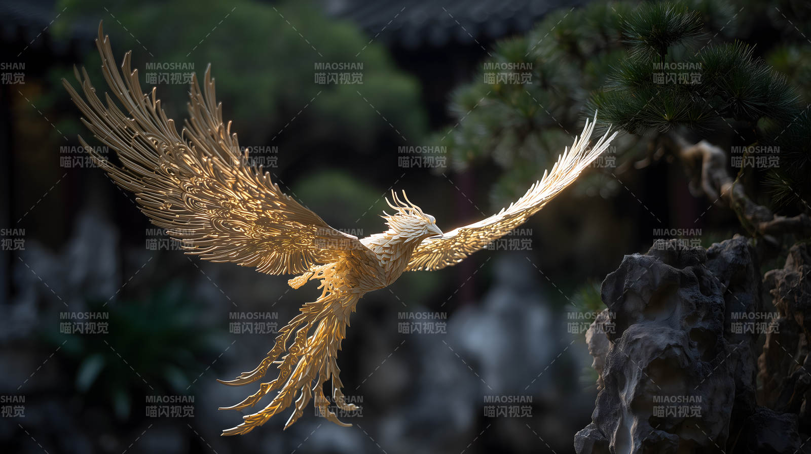 金凤凰飞翔美如画图片