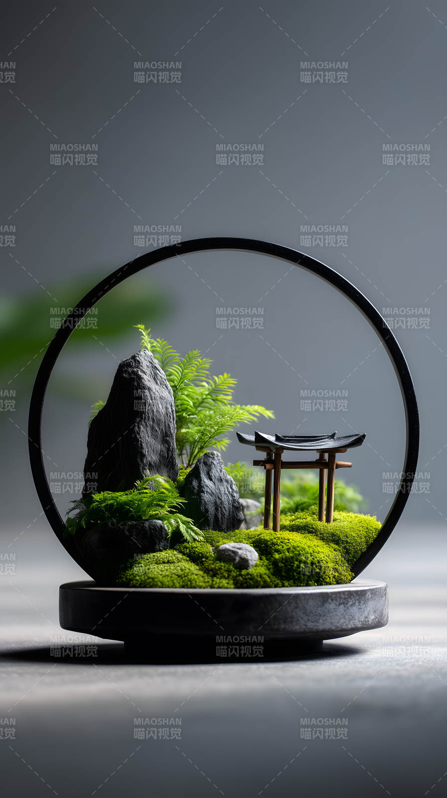 微景观盆栽艺术图片