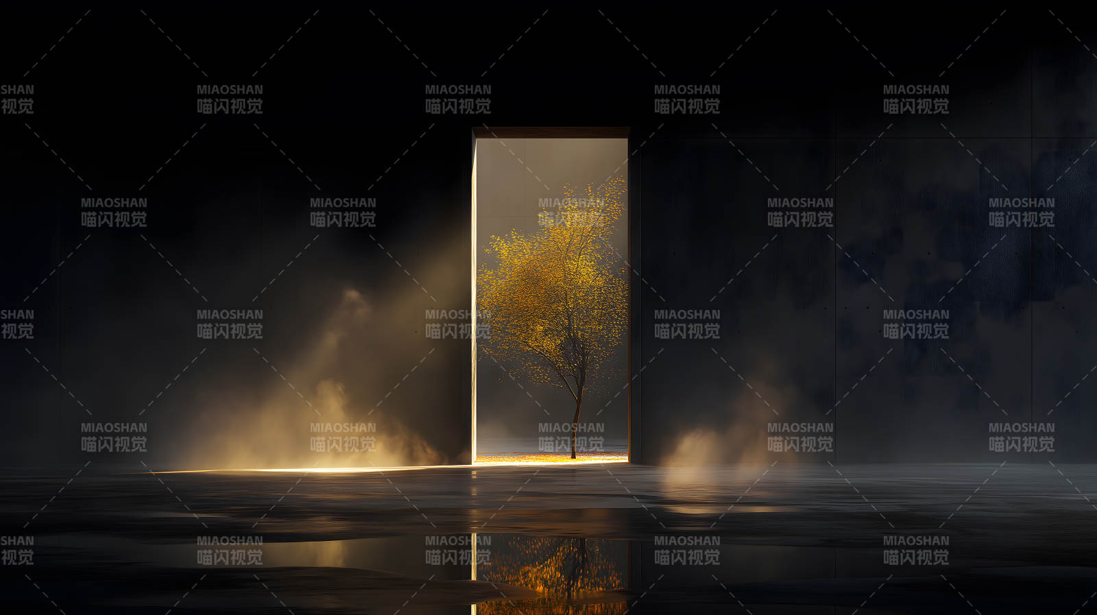 光影下的树与空间图片