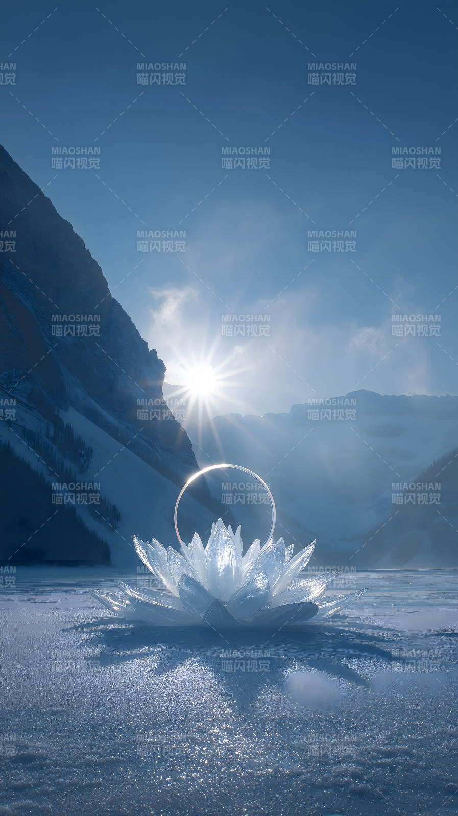 冰莲花与太阳图片