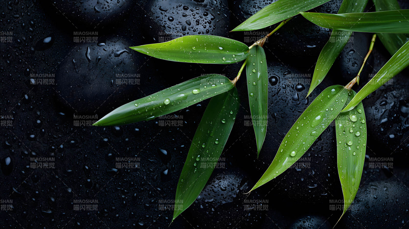 竹叶黑石静谧之境图片