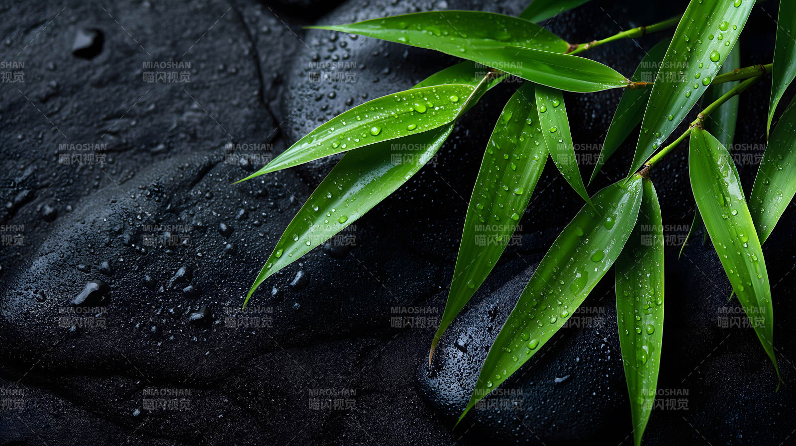 竹叶黑石水珠意境图片