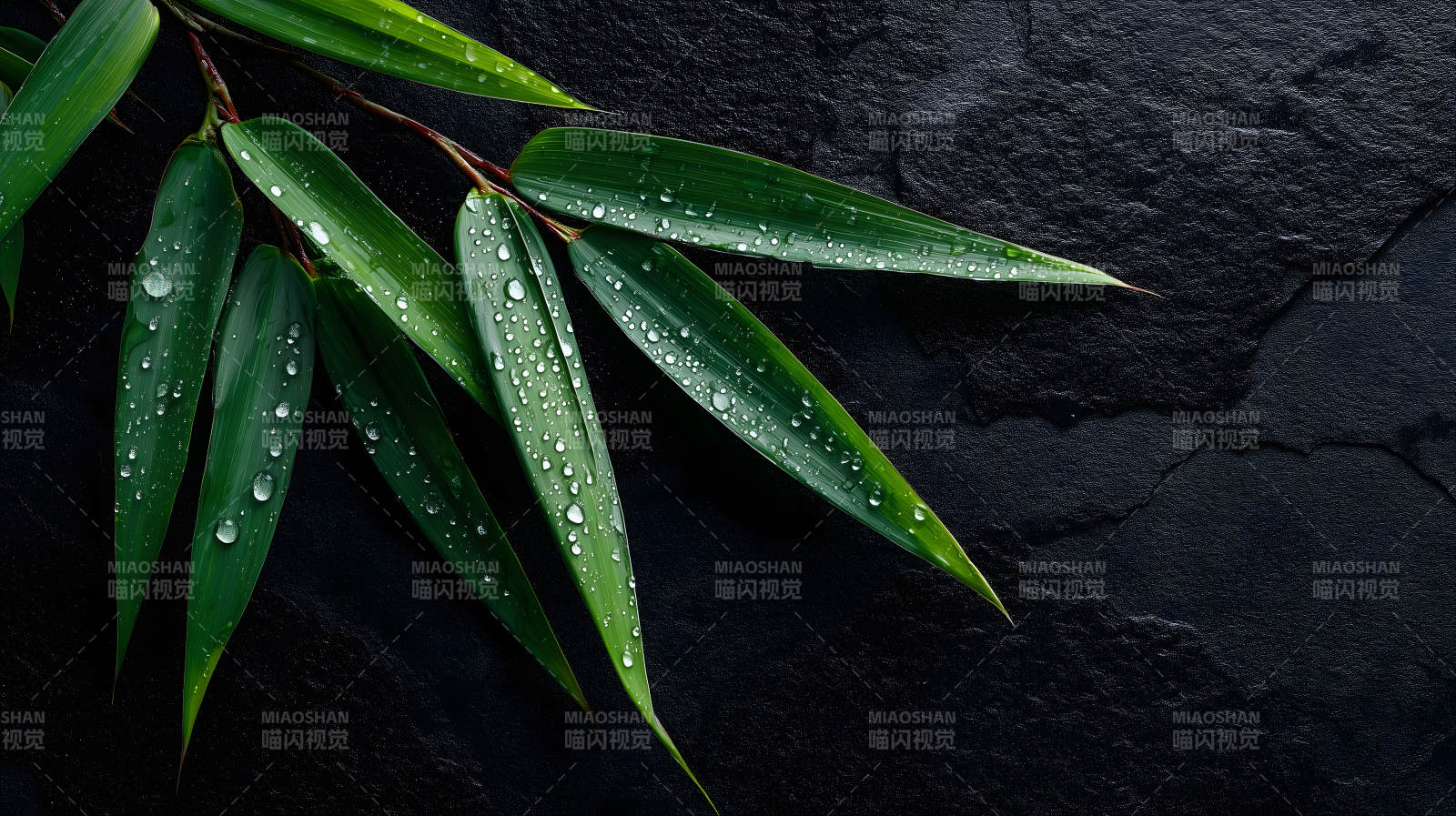 竹叶雨滴黑石图片