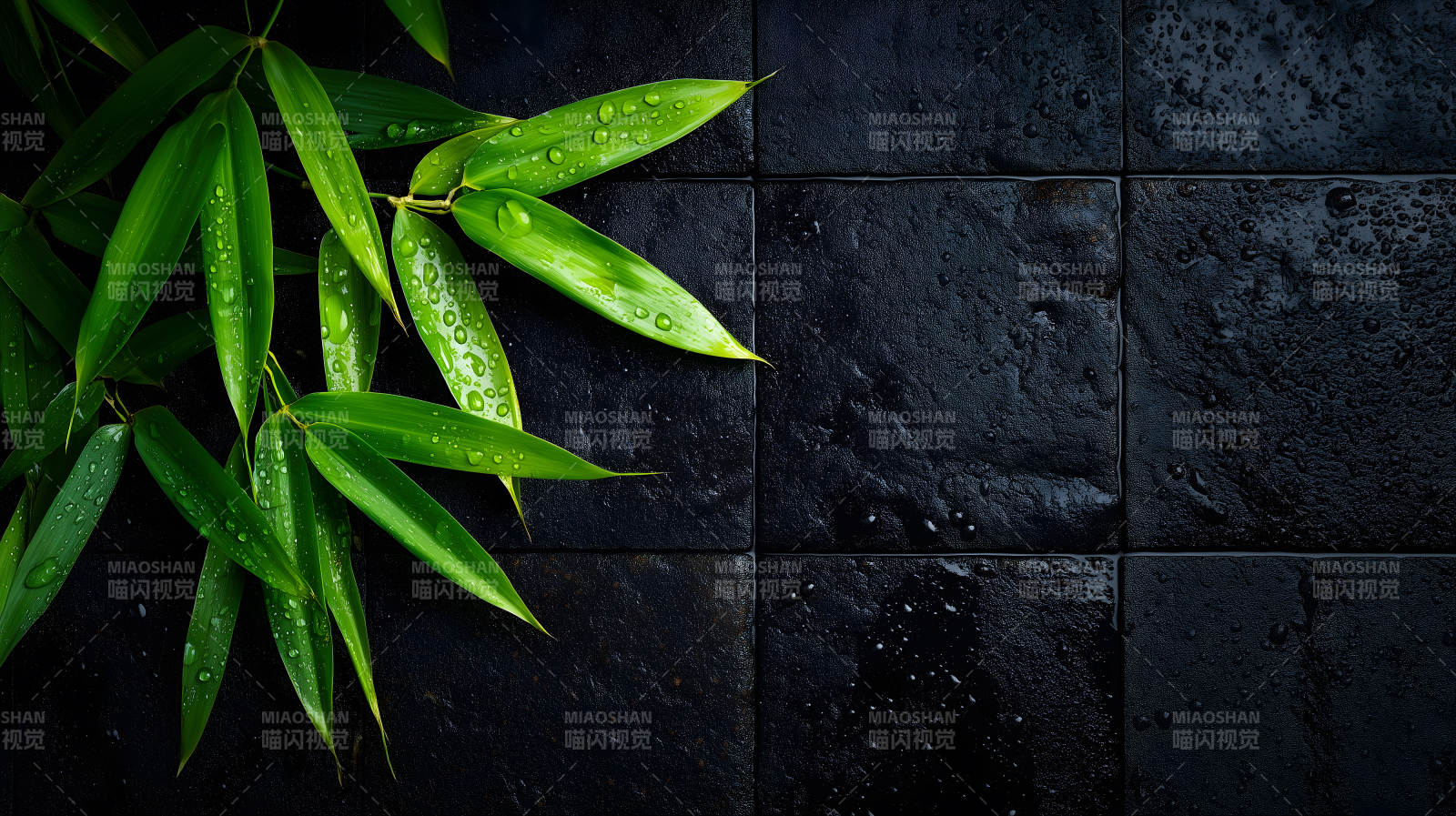 竹叶雨滴黑色砖图片