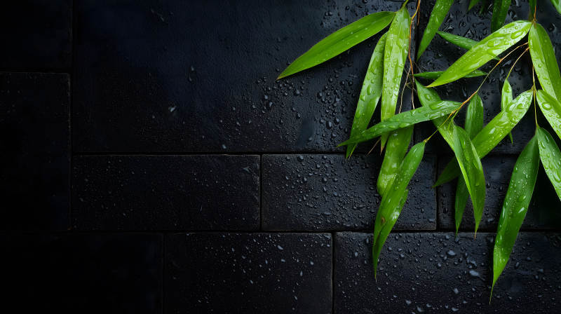 竹叶水滴黑砖图片