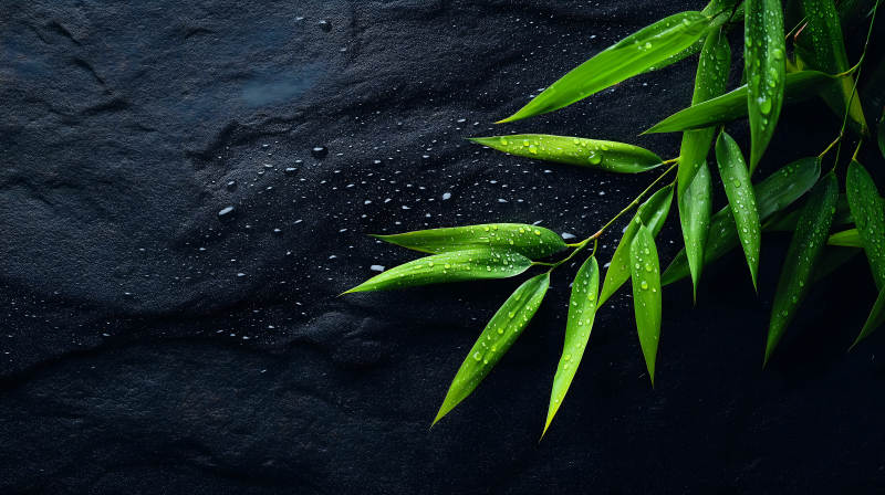 竹叶黑石水滴图片