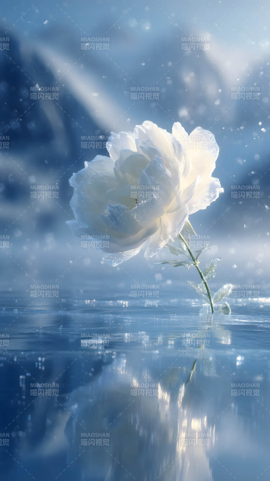 冰花绽放水面唯美图片