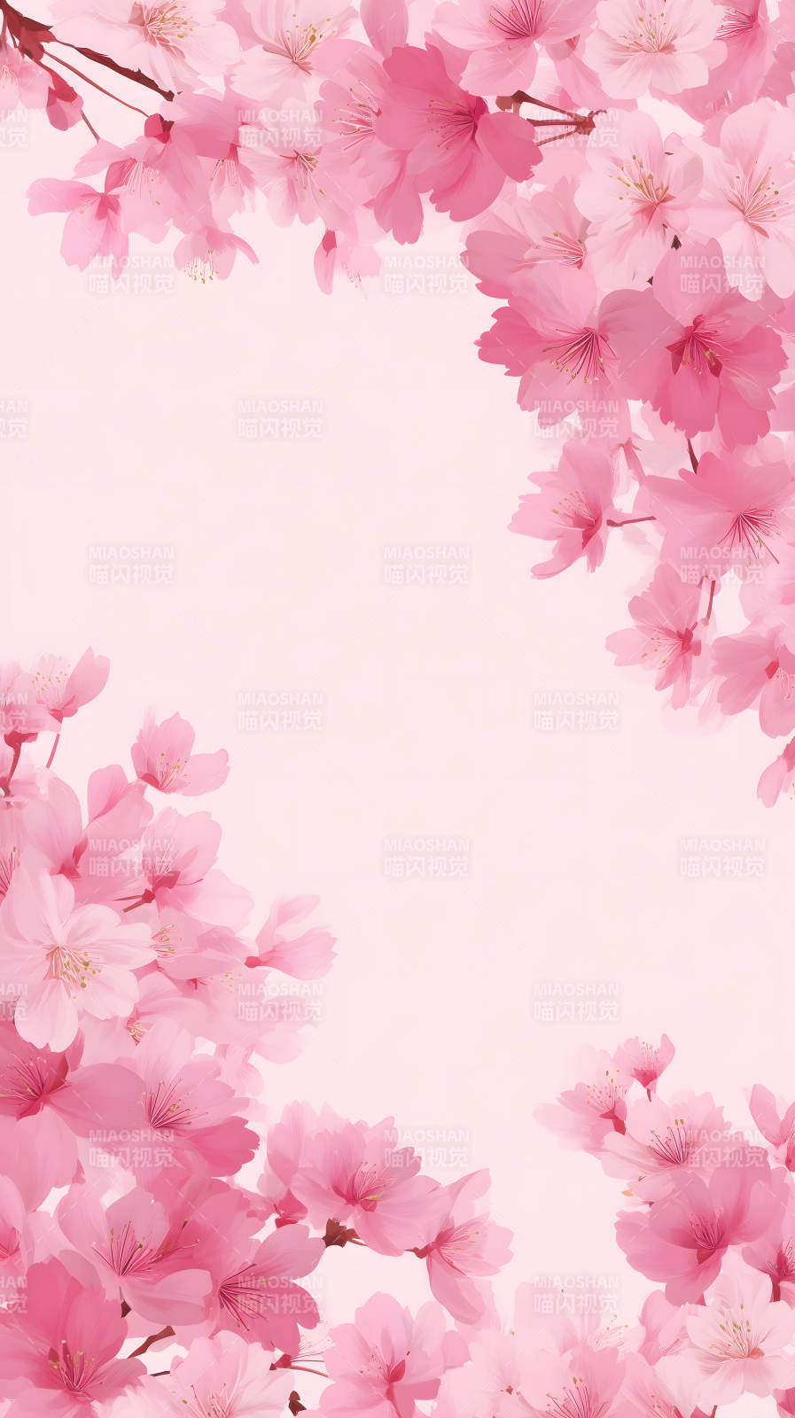 粉色樱花浪漫绽放图片