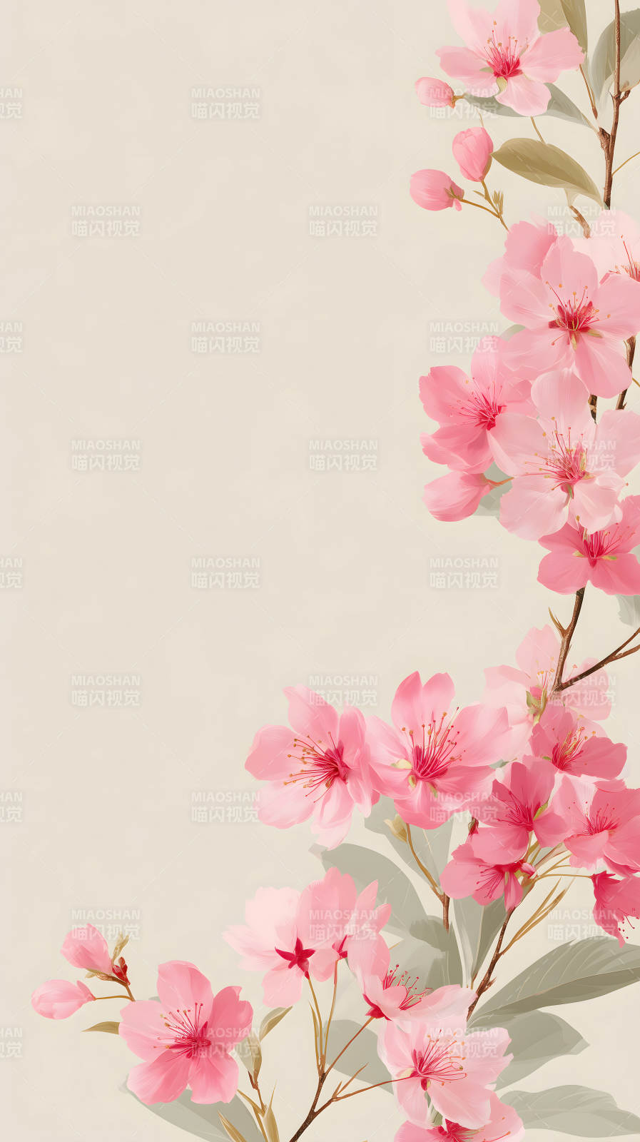 粉色樱花点缀背景图片