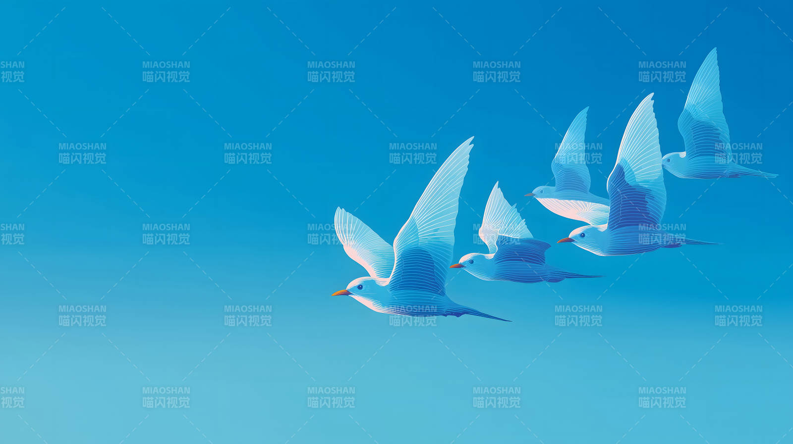 蓝天白鸟翱翔天空图片