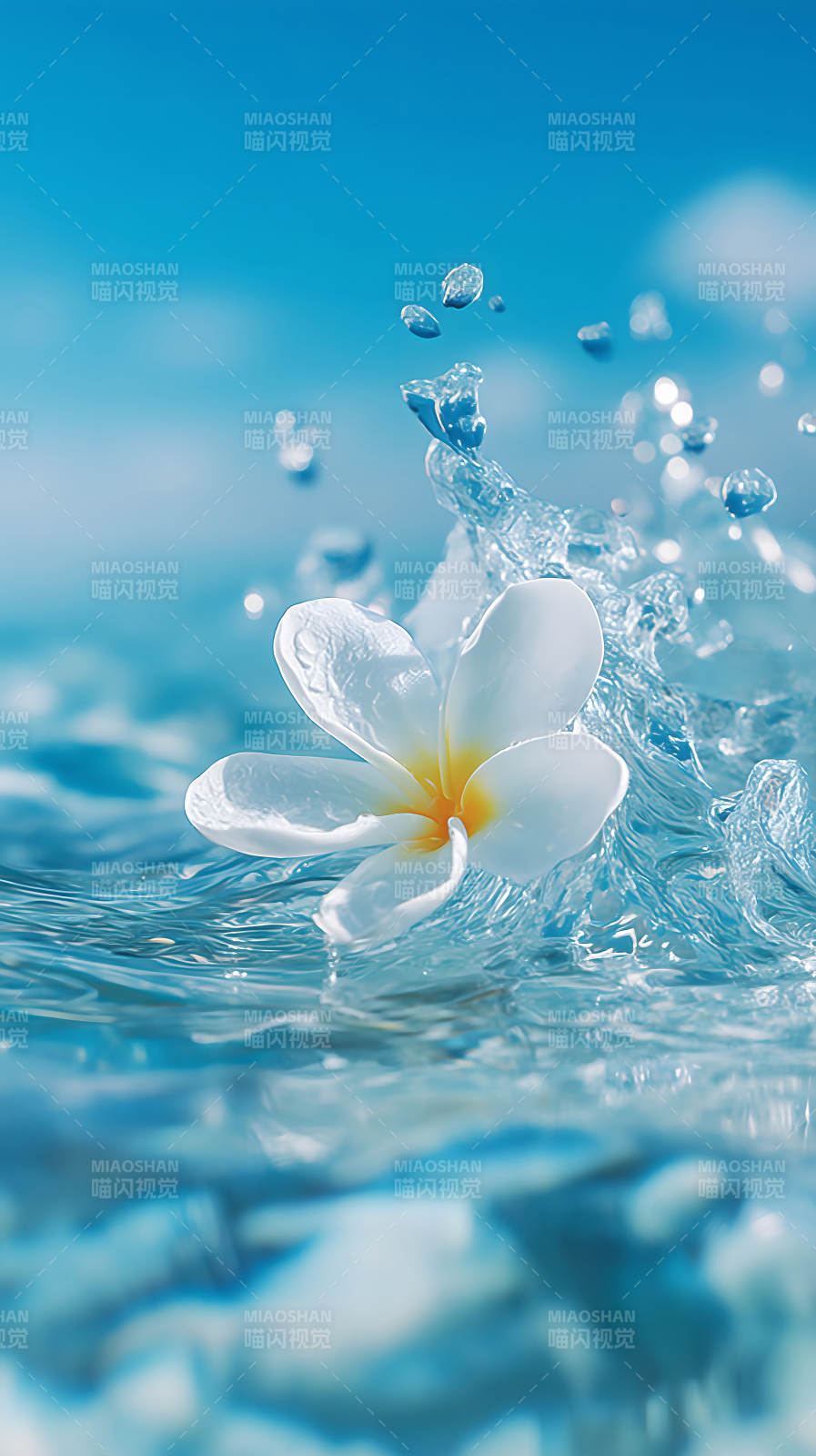 花朵与水滴的纯净图片