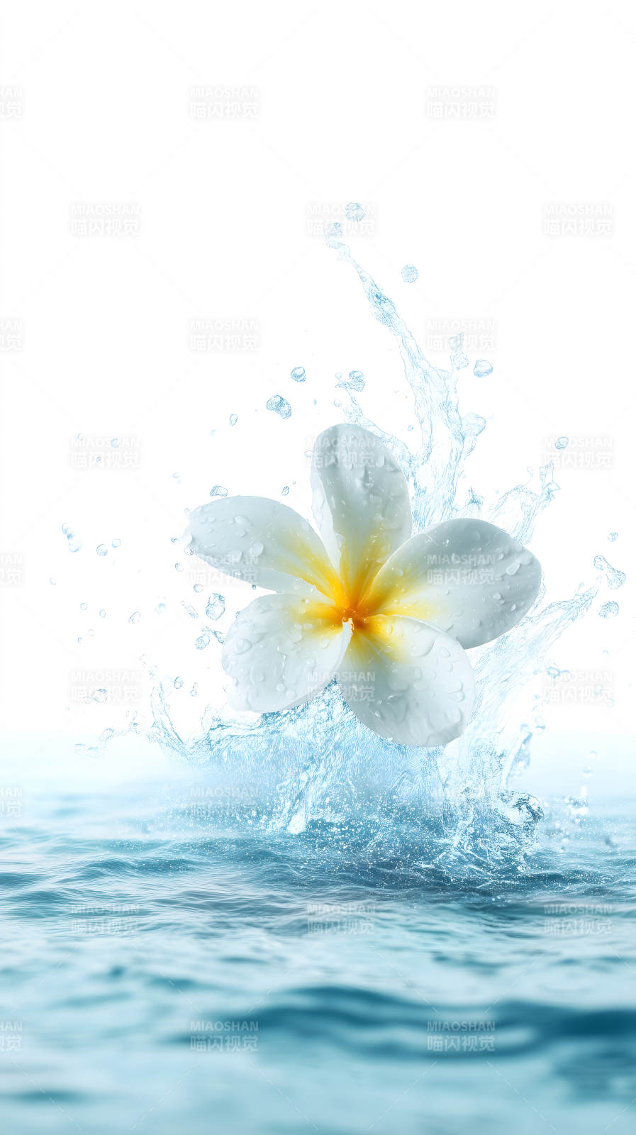 花朵绽放水花四溅图片